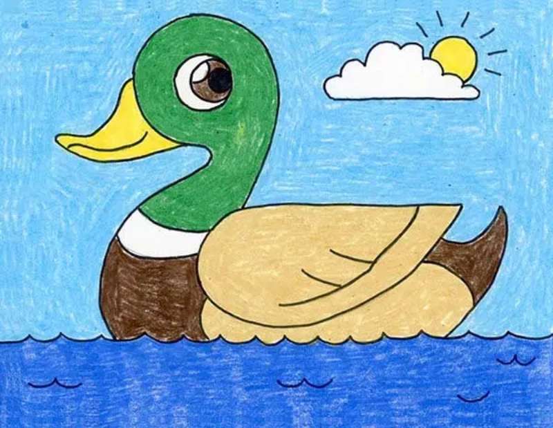 Duck-Diaries_-Sketch-Splash How To Draw A Duck: Tutorials To Learn From