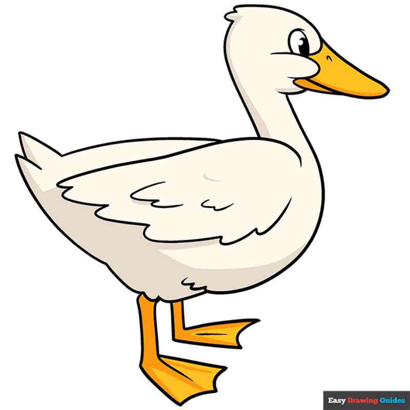 Duck-Drawing_-A-Breezy-Adventure How To Draw A Duck: Tutorials To Learn From