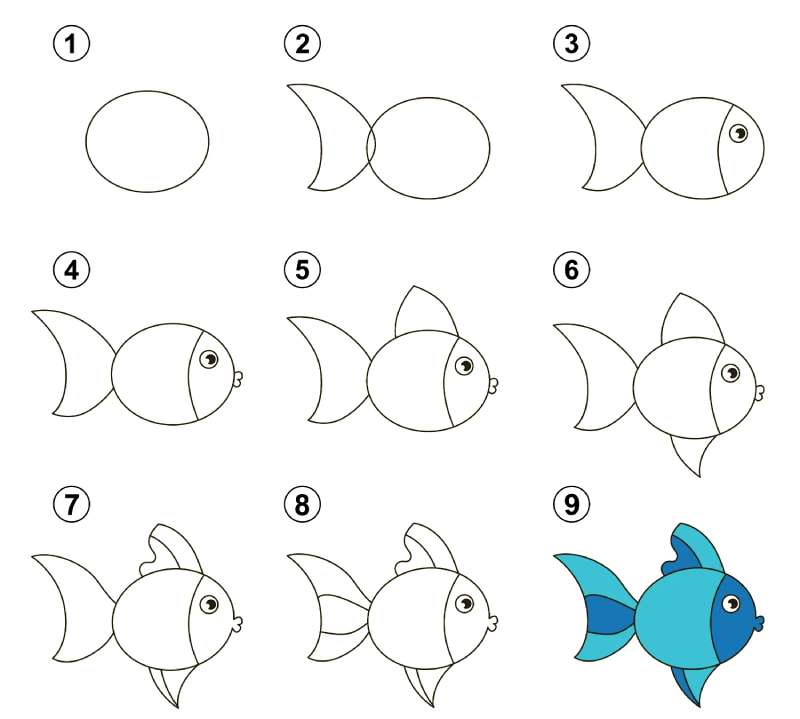Fish-Doodle-101_-A-Splashy-Tutorial How To Draw A Fish: Tutorials To Learn From