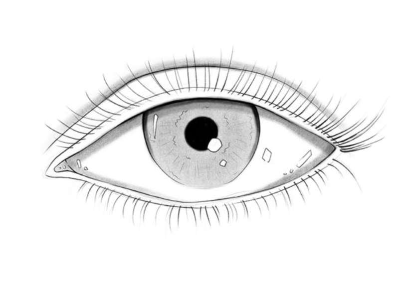 From-Doodles-to-Masterpieces_-Eye-Drawing-Decoded How To Draw An Eye: Tutorials To Learn From