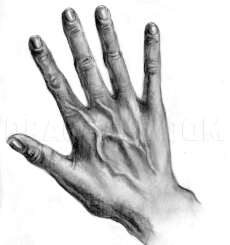 Hands-101-%E2%80%93-The-Basics How To Draw A Hand: Tutorials To Learn From