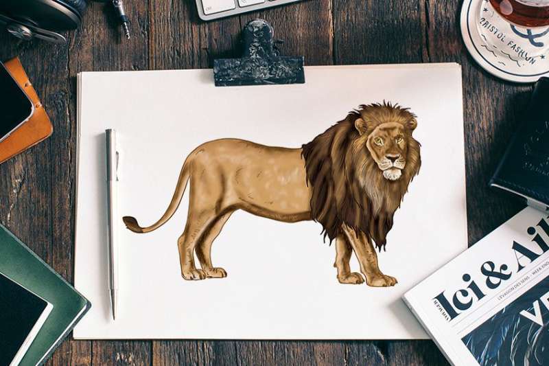 How-to-Draw-a-Lion-%E2%80%93-The-Basics-and-Beyond How To Draw A Lion: Tutorials To Learn From