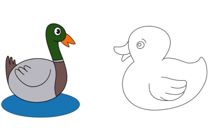 Making-Little-Artists-Proud_-Drawing-Ducks How To Draw A Duck: Tutorials To Learn From
