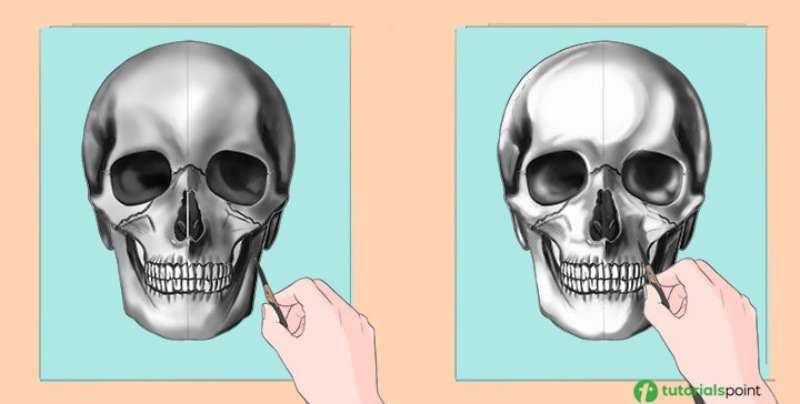 Mastering-the-Art-of-Skull-Drawing How To Draw A Skull: Tutorials To Learn From