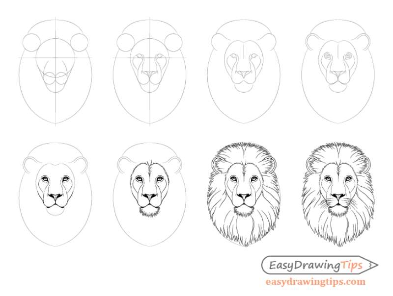 Nailing-that-Lion-Face-%E2%80%93-One-Step-at-a-Time How To Draw A Lion: Tutorials To Learn From