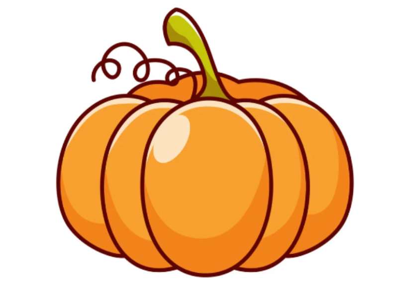 Pumpkin-Drawing-101 How To Draw A Pumpkin: Tutorials To Learn From