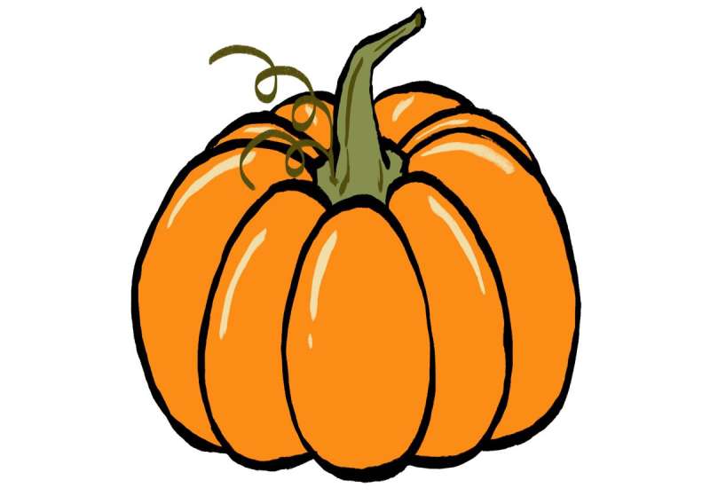 Pumpkin-Drawing-in-a-Jiffy_-The-411 How To Draw A Pumpkin: Tutorials To Learn From