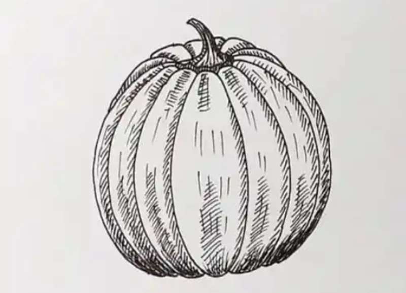 Pumpkin-Drawing-with-a-Twist How To Draw A Pumpkin: Tutorials To Learn From