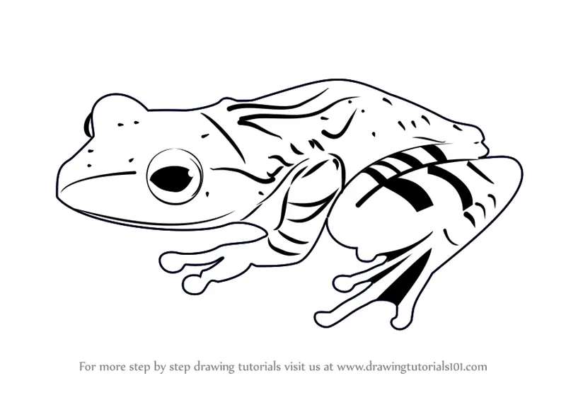 Quick-Draw_-The-Frog-Edition How To Draw A Frog: Tutorials To Learn From