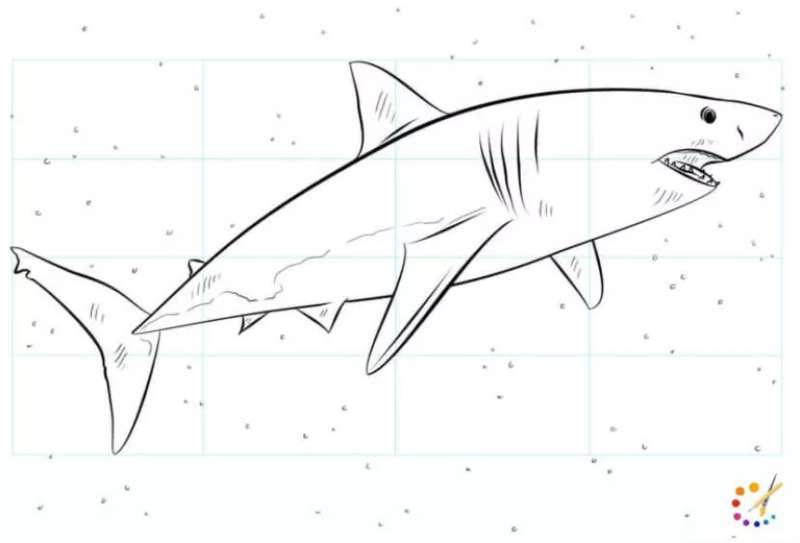 Shark-Doodles-for-Everyone How To Draw A Shark: Tutorials To Learn From