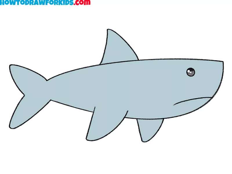 Shark-Sketching-for-Everyone How To Draw A Shark: Tutorials To Learn From