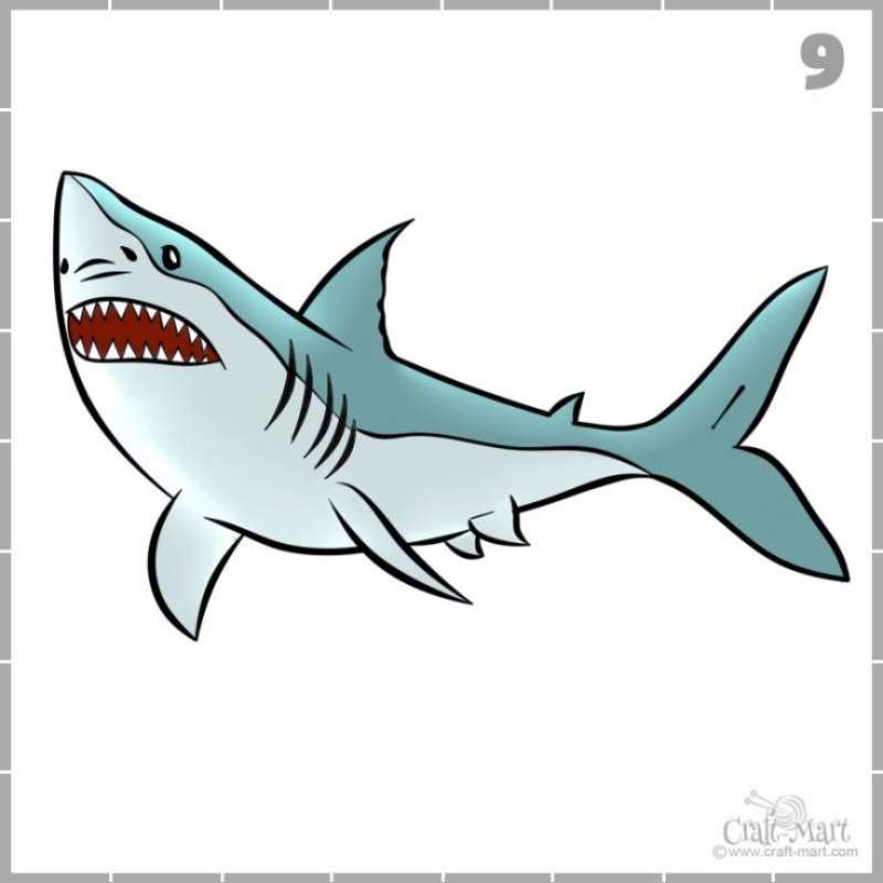 Shark-Sketching_-Not-as-Tough-as-You-Think How To Draw A Shark: Tutorials To Learn From