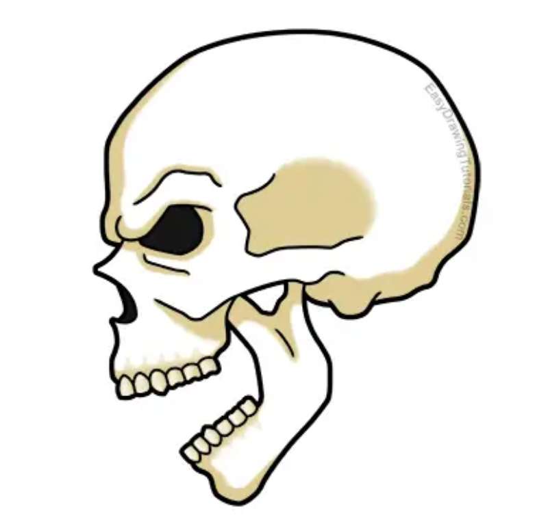 Side-View-Skull_-Halloween-Vibes How To Draw A Skull: Tutorials To Learn From