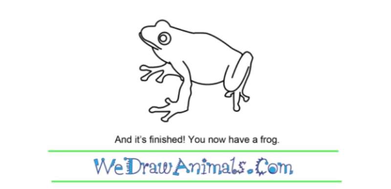 Simple-Steps-to-Frog-Perfection How To Draw A Frog: Tutorials To Learn From