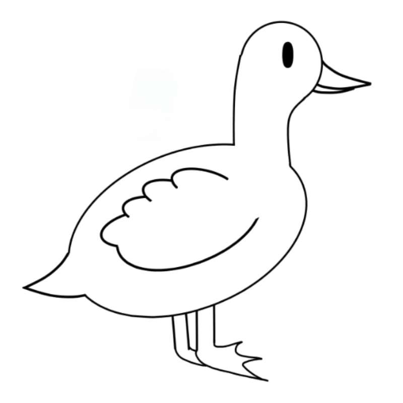 Simple-Sweet-and-Absolutely-Adorable-Duck How To Draw A Duck: Tutorials To Learn From