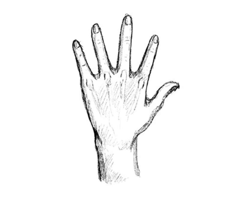 Sketching-A-Hand_-Lets-Nail-This How To Draw A Hand: Tutorials To Learn From