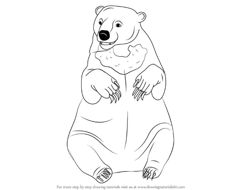 Sketching-Out-the-Bear-Basics How To Draw A Bear: Tutorials To Learn From