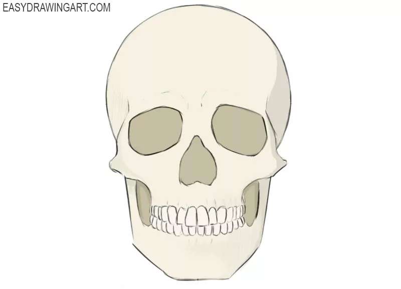 Sketching-Skulls_-The-Chill-Way How To Draw A Skull: Tutorials To Learn From