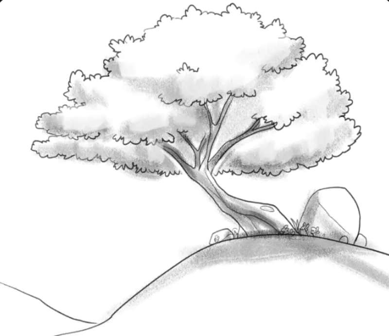 Sketching-Trees_-Dive-into-the-Basics How To Draw A Tree: Tutorials To Learn From