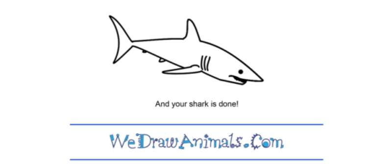 Sketching-the-Oceans-Speedster_-The-Shark How To Draw A Shark: Tutorials To Learn From