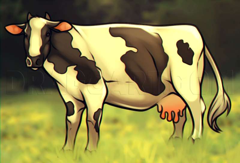 Sketching-the-Perfect-Bovine_-How-to-Draw-a-Cow-2 How To Draw A Cow: Tutorials To Learn From