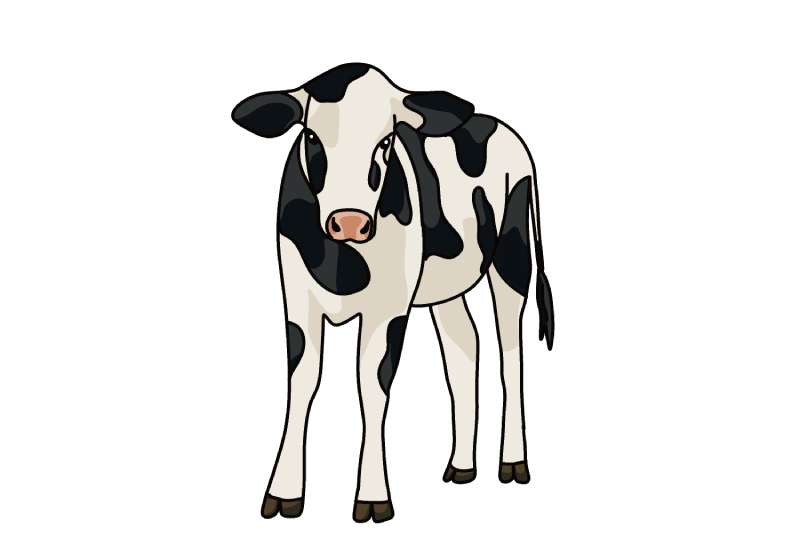 Sketching-the-Perfect-Bovine_-How-to-Draw-a-Cow How To Draw A Cow: Tutorials To Learn From