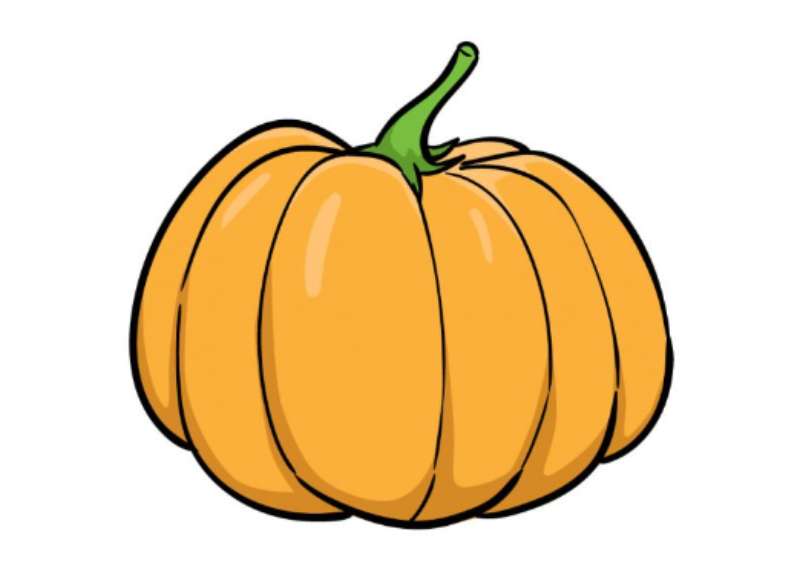 Sketching-the-Perfect-Pumpkin How To Draw A Pumpkin: Tutorials To Learn From