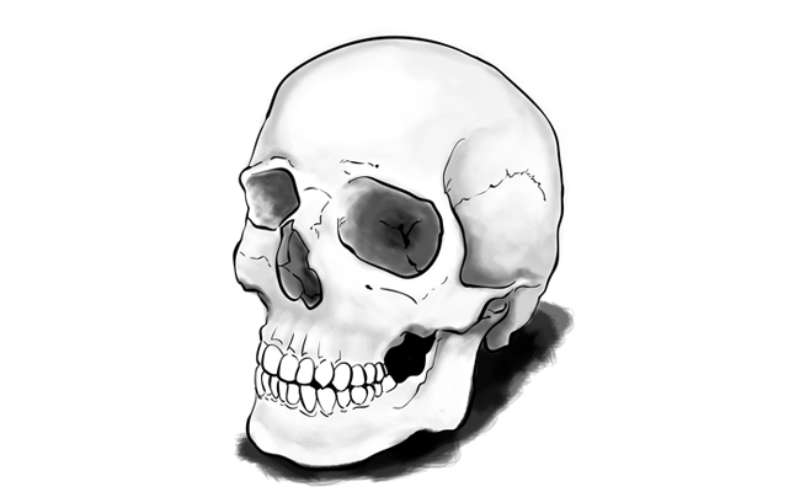 Skull-Drawing-in-a-Flash_-Six-Steps-to-Awesomeness How To Draw A Skull: Tutorials To Learn From