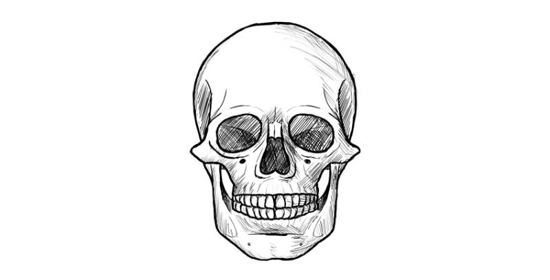 Skull-Drawing-with-a-Twist How To Draw A Skull: Tutorials To Learn From