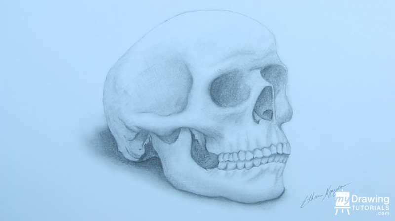 Skull-Drawing_-The-3_4-Perspective How To Draw A Skull: Tutorials To Learn From