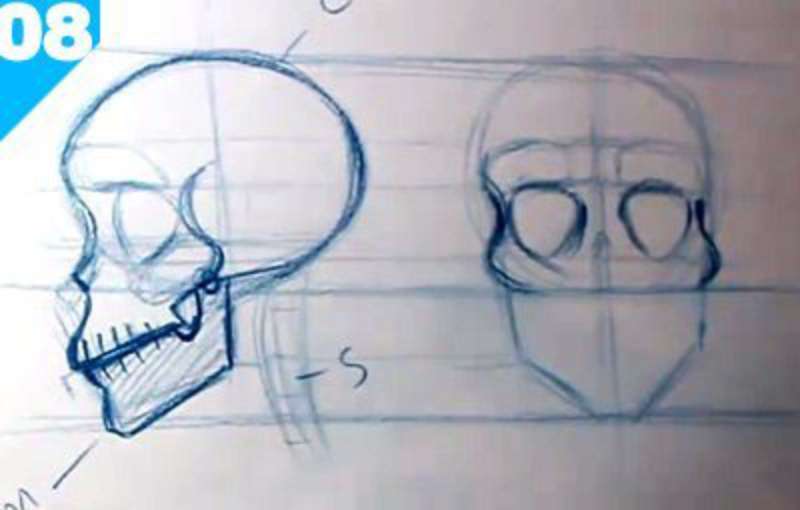 Skull-Sketching_-The-Basics-for-Newbies How To Draw A Skull: Tutorials To Learn From