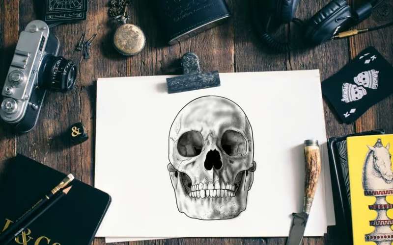 The-Ultimate-Skull-Drawing-Guide How To Draw A Skull: Tutorials To Learn From
