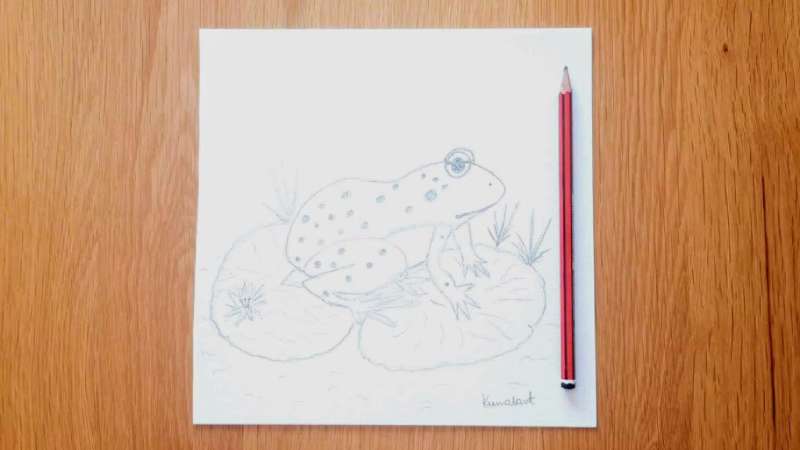 The-World-of-Frogs_-A-Drawing-Expedition How To Draw A Frog: Tutorials To Learn From