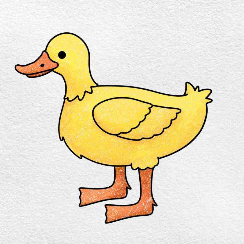 Tiny-Artists-Big-Quacks How To Draw A Duck: Tutorials To Learn From