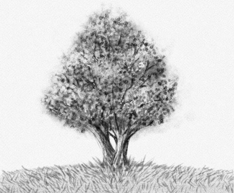 Tree-Drawing_-Its-Easier-Than-You-Think How To Draw A Tree: Tutorials To Learn From