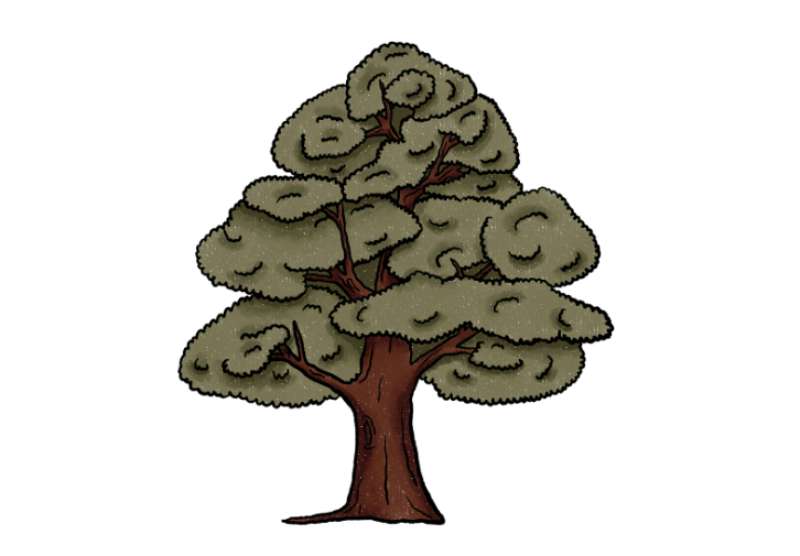Tree-Drawing_-Quick-and-Easy How To Draw A Tree: Tutorials To Learn From