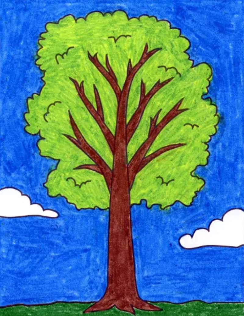 Tree-Drawing_-Quick-and-Fun-1 How To Draw A Tree: Tutorials To Learn From