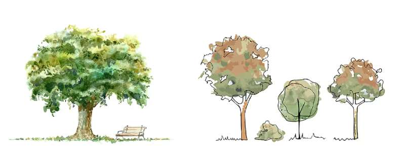 Tree-Drawing_-The-Basics-and-Beyond How To Draw A Tree: Tutorials To Learn From