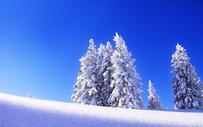 Winter Wallpaper Backgrounds That Will Look Amazing On Your Desktop - roblox winter background