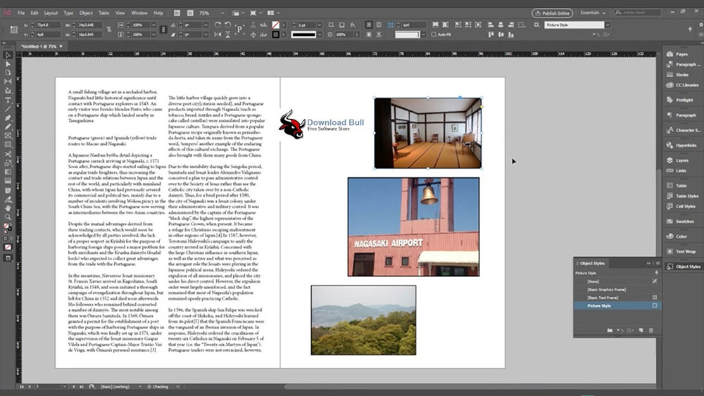 what is adobe indesign used for