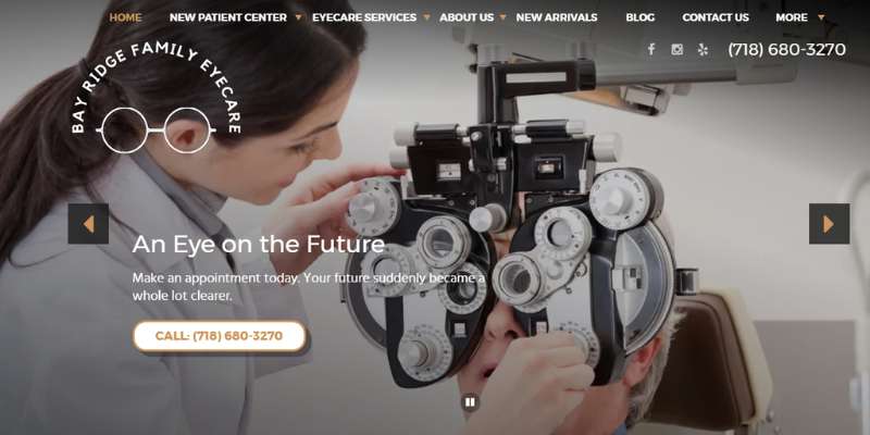 6 Examples of Excellent Optometrist Websites (12 Designs)