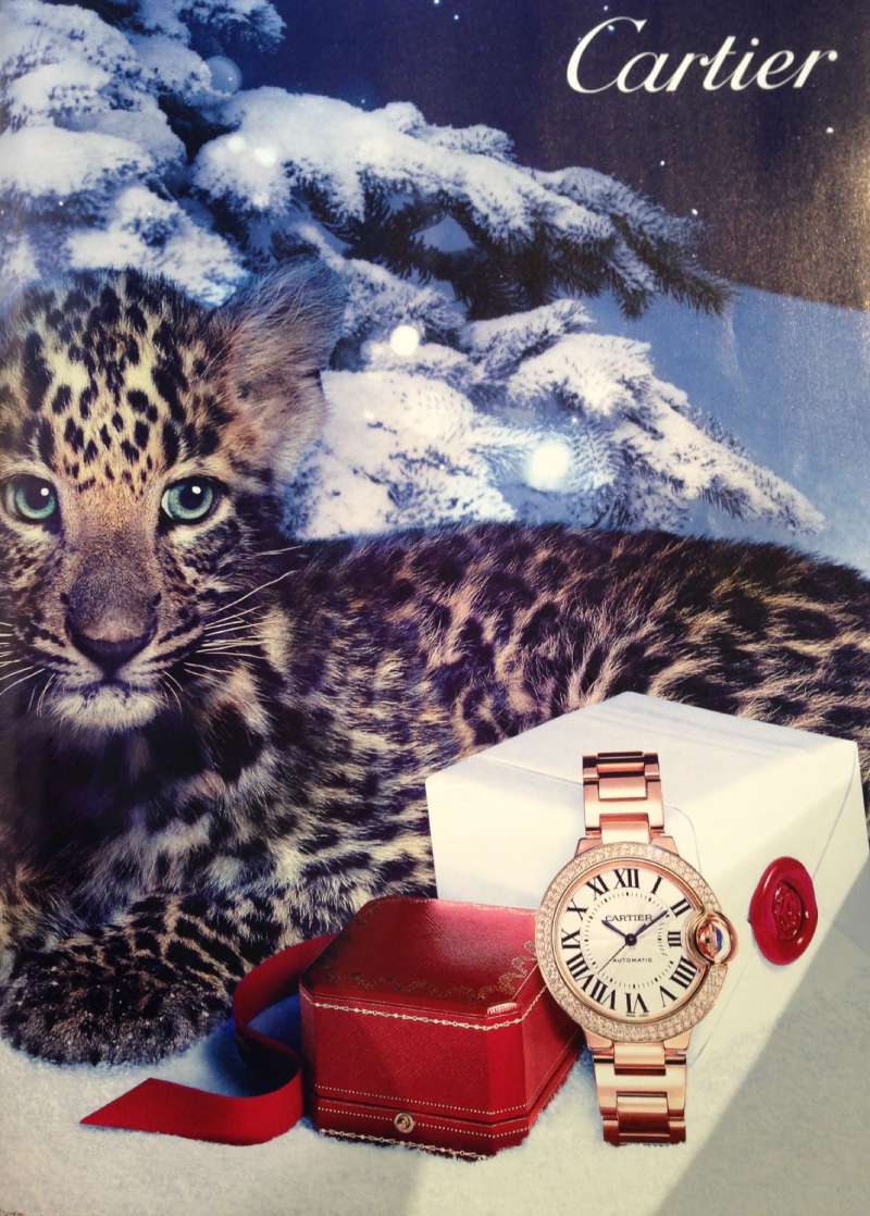 23-8 Cartier Ads: Exquisite Timepieces and Fine Jewelry