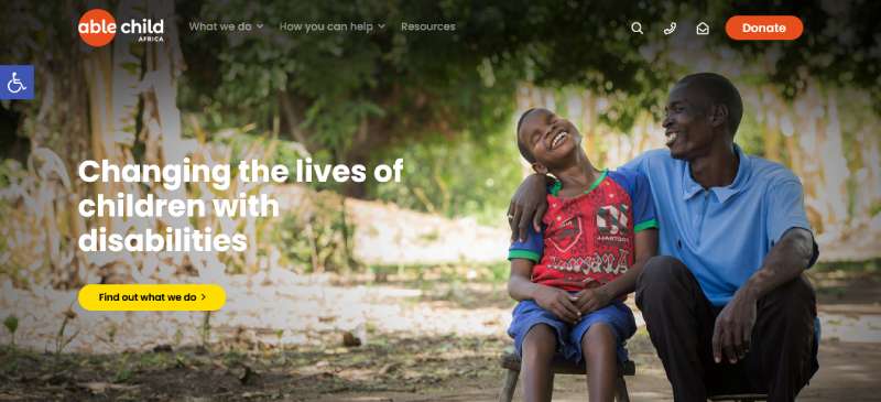 ABLE-CHILD-AFRICA The Best Charity Website Design Examples of the Year