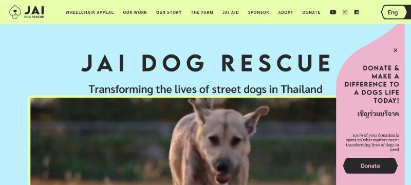 JAI-DOG-RESCUE The Best Charity Website Design Examples of the Year