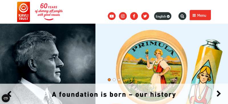 KAVLIFONDET The Best Charity Website Design Examples of the Year