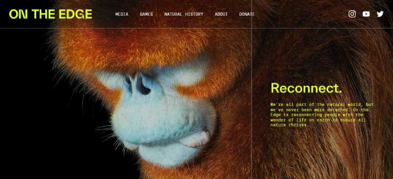 ON-THE-EDGE The Best Charity Website Design Examples of the Year