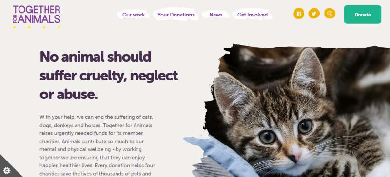 TOGETHER-FOR-ANIMALS The Best Charity Website Design Examples of the Year