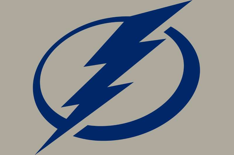 logo-39 The Tampa Bay Lightning Logo History, Colors, Font, And Meaning