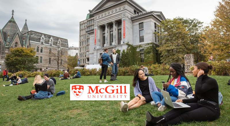 consistency-in-usage-across-platforms The Mcgill University Logo History, Colors, Font, And Meaning