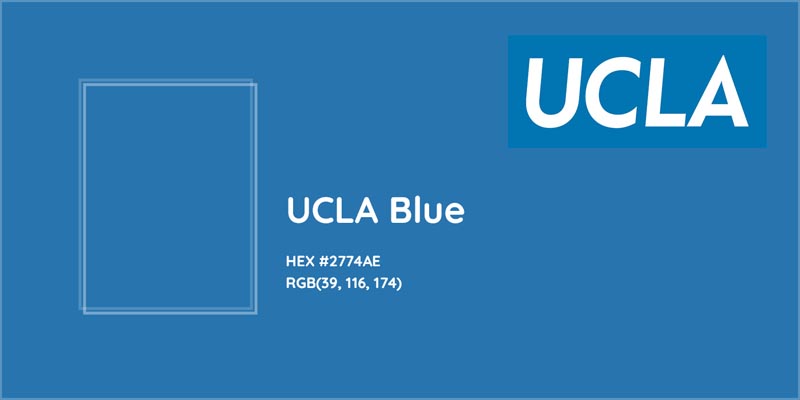 the-colors-of-the-ucla-logo The UCLA Logo History, Colors, Font, And Meaning